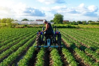 Carlos Eduardo Moraes Nunes