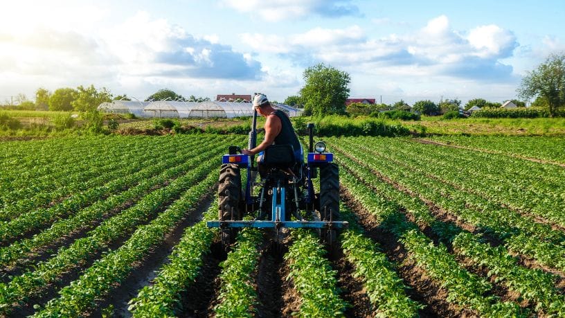 Carlos Eduardo Moraes Nunes