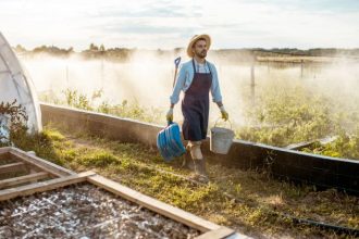 Andrey de Oliveira Pontes
