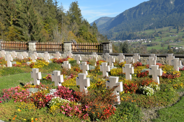Tiago Schietti destaca a importância dos cemitérios sustentáveis e da gestão ambiental responsável.