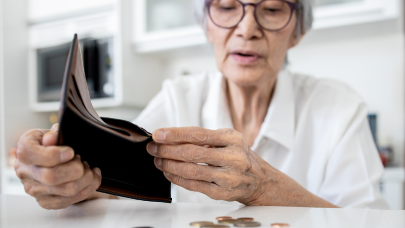 Sindnapi - Sindicato Nacional dos Aposentados, Pensionistas e Idosos