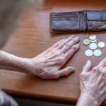 Sindnapi - Sindicato Nacional dos Aposentados, Pensionistas e Idosos