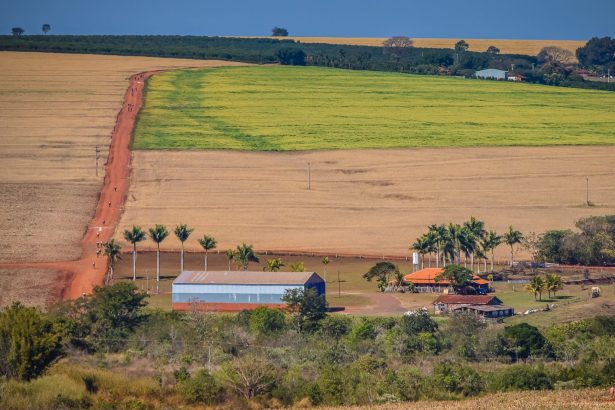 Vista ampla de área rural brasileira com campos, estrada de terra e construções agrícolas.