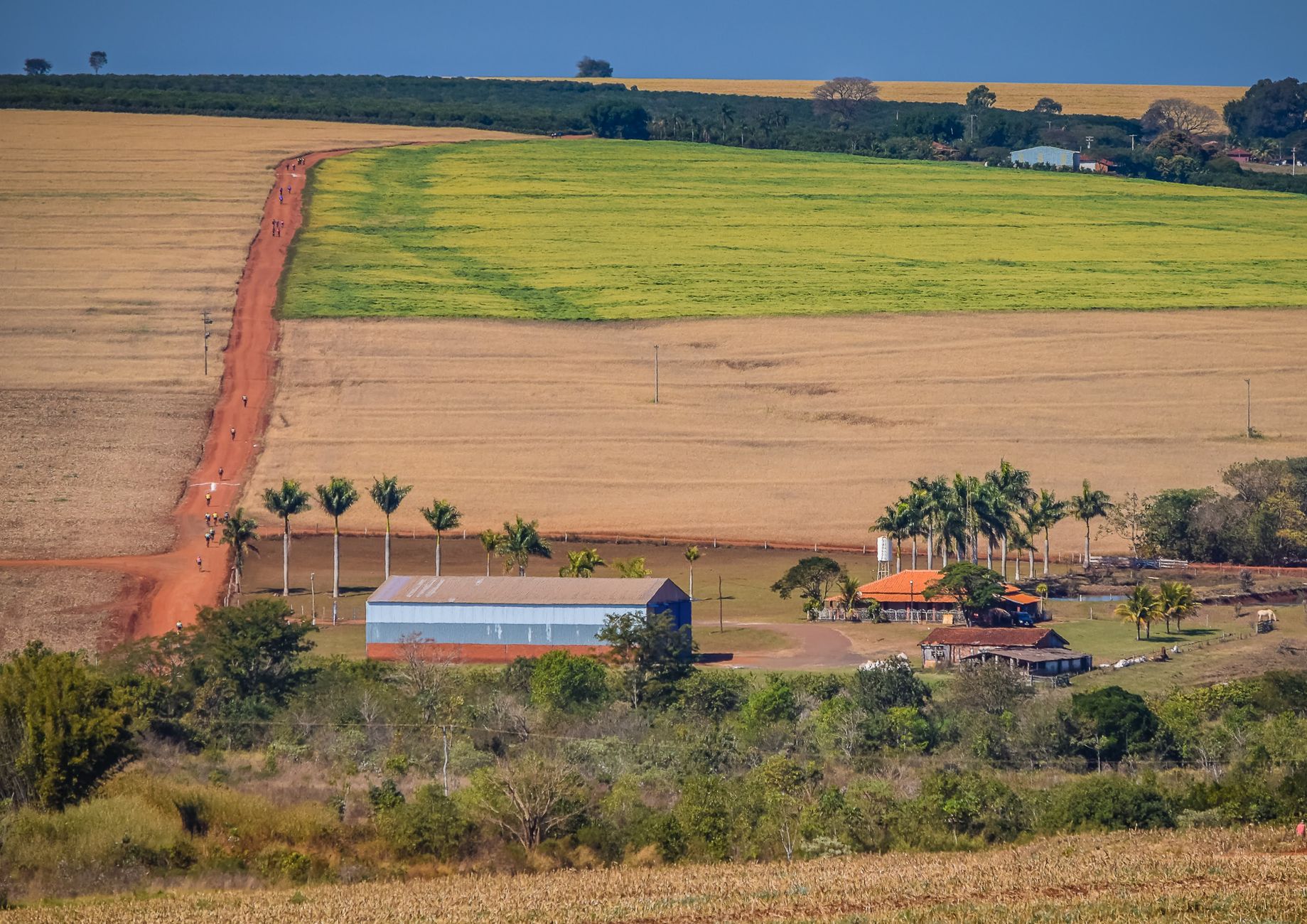 Vista ampla de área rural brasileira com campos, estrada de terra e construções agrícolas.